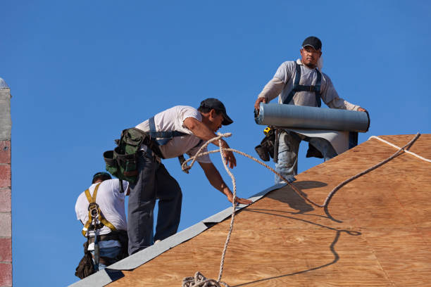 Best Local Roofing Companies  in Johnston, IA