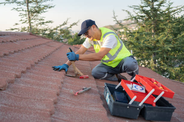 Best Metal Roofing Contractor  in Johnston, IA